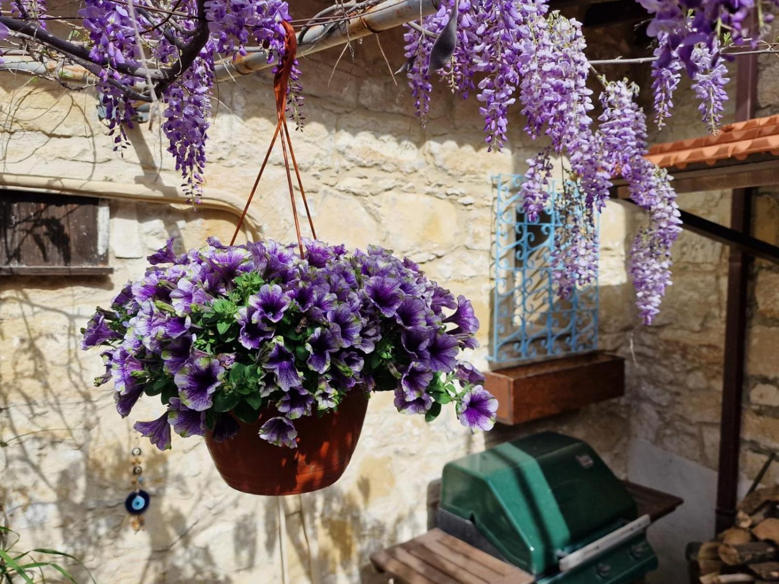 Kalimera A Lovely 1-Bedroom Rental With Ensuite And Kitchen Limassol Exterior foto